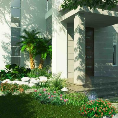 Những Góc Vườn Xanh Trong Căn Hộ